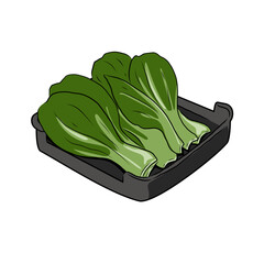 Isolated BOK CHOY in black hot pot plate,vegetables vector hand drawing illustration,Green leaves and whole part of bok choy,pak choi or pok choi Chinese cabbage.Hight fiber food, hot pot ingredients.