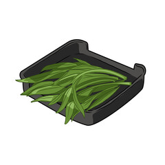 Isolated water spinach in plate, vegetables vector hand drawing illustration,Green leaves and whole part of water spinach on white background.Chinese cabbage.Hight fiber food, hot pot ingredients.