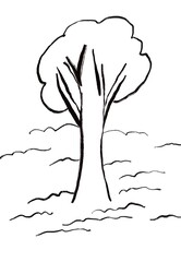 tree with roots line outline art hand drawn png 