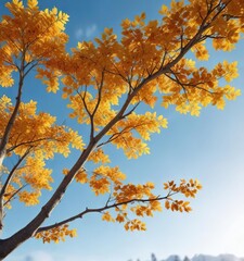 A sprawling branch with yellow and orange leaves against a blurred blue sky, tree, outdoor scenery, autumn foliage