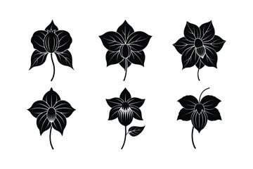 Abutilon flowers design, labeled midium linocut silhouette vector illustration.