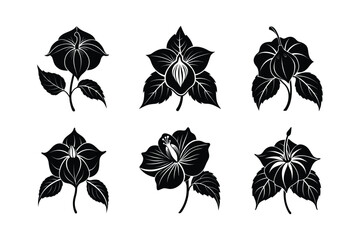 Fototapeta premium Abutilon flowers design, labeled midium linocut silhouette vector illustration.