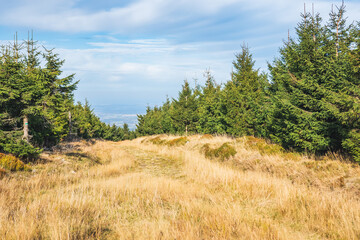Karkonosze Mountains, Western Sudetes, gravel path on the hiking trail leading to the top of Smrk Mountain. Mountain landscape on a sunny day.