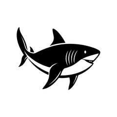 shark silhouette, black and white silhouette, vector and illustration