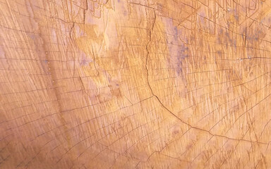 Fototapeta premium Small wood old texture color original. wood background and texture. patterns, old, ancient, space for work, vintage wallpaper, close up.