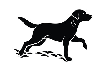 silhouette of a Labrador Retriever jumping through water splashes