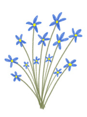 Fototapeta premium Illustration forget me not flowers for decoration
