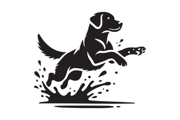 Obraz premium silhouette of a Labrador Retriever jumping through water splashes