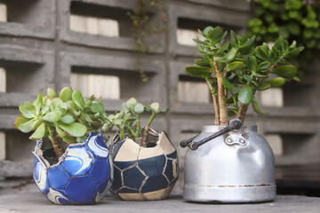Reused planter ideas.  old soccer ball  and teapot turn into garden flower pots. Recycled garden...