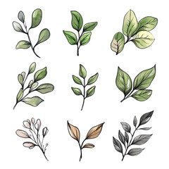 Collection of Watercolor Botanical Illustrations: Twelve Unique Green and Beige Leaves and Branches