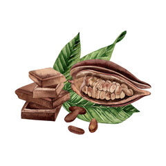 A bar of chocolate, a cocoa fruit with grains inside lies on the green leaves of a cocoa tree. The illustration with the composition of the plant and dessert is hand-painted in watercolor