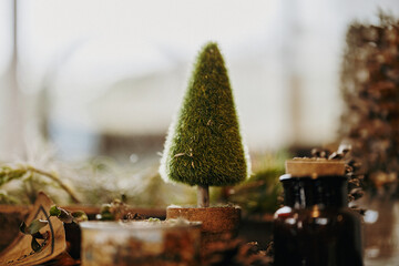 A Miniature Christmas Tree