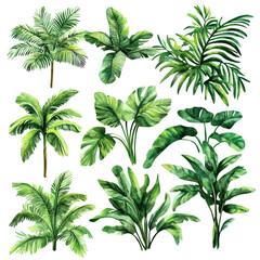 Collection of Watercolor Tropical Plants: Lush Greenery, Exotic Foliage, Botanical Illustration, Palm Leaves, Jungle Plants