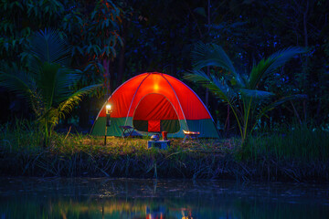Red camping tent in a big forest at night, the ground is covered with brown fallen leaves and dry teak leaves in the autumn forest