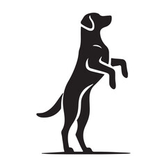 silhouette of a Labrador Retriever Playfully Standing on Hind Legs