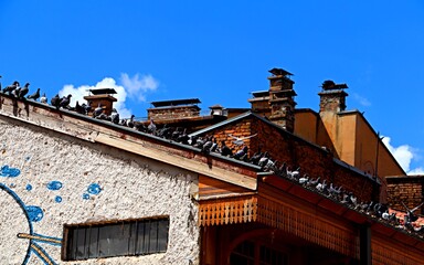 A large flock of pigeons on an old building in the center of Sarajevo