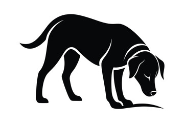 silhouette of a Labrador Retriever sniffing the ground attentively.