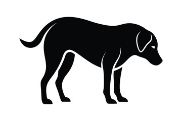 silhouette of a Labrador Retriever sniffing the ground attentively.