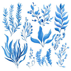 Collection of Blue Watercolor Botanical Illustrations