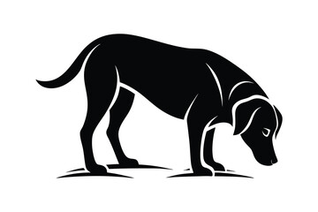 silhouette of a Labrador Retriever sniffing the ground attentively.