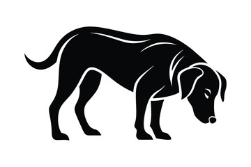 silhouette of a Labrador Retriever sniffing the ground attentively.