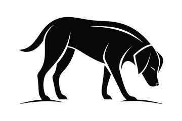 silhouette of a Labrador Retriever sniffing the ground attentively.