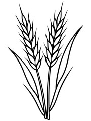 Artistic Woodcut-Style Wheat Drawing: Rustic Illustrations of Wheat Plants in Vintage Design.