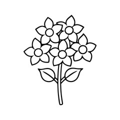 Vector daisy flowers bouquet, illustration daisy vase on white background, Botanical lines art flower, Minimalist contour drawing of flower. 