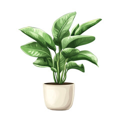 Elegant Green Plant in a Cream Pot: A Botanical Illustration