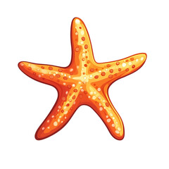 Orange Starfish Ocean Creature Illustration