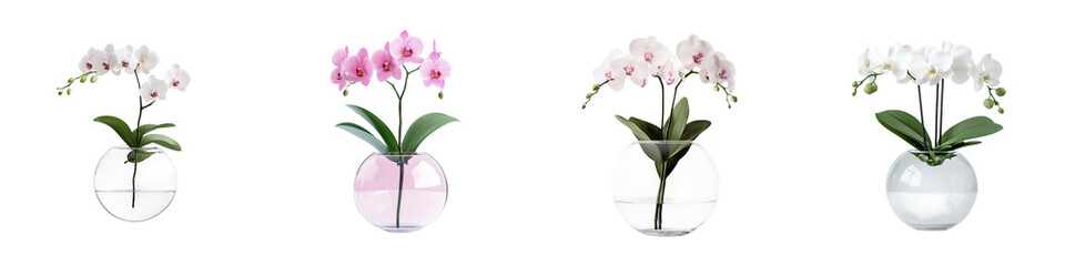 Elegant floating glass orb vase holding a delicate botanical arrangement of lush flowers and foliage in a minimalist  futuristic design  This modern  contemporary display creates a serene