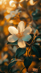 A sunlit white blossom with detailed petals and vibrant foliage in a serene garden environment