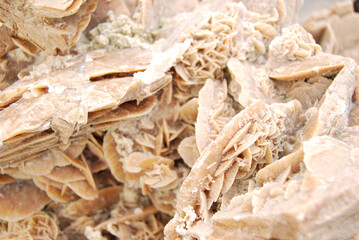 Desert sand rose gypsum crystal texture close up