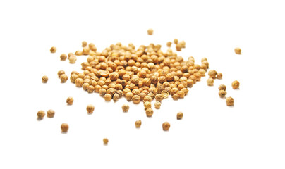 Coriander seed isolated, a pile of coriander seeds close up isolated on white background