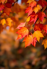 Obraz premium background with autumnal colors, showcasing the beauty of falling leaves and the coziness of a harvest season, with white tones