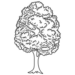 Hand drawn doodle tree on a white background.