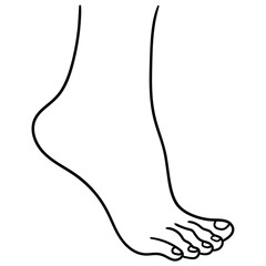 Hand drawn doodle woman's foot on white background.