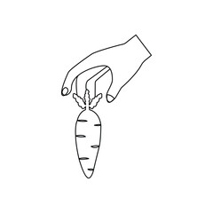 Continuous one-line drawing of carrot abstract outline vector art illustration
