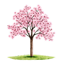 Obraz premium Beautiful pink cherry blossom tree in full bloom showcasing delicate flowers against a clear sky, symbolizing nature's beauty in spring seasons, perfect for serene landscapes or botanical themes.