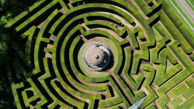 drone aerial video of landscape design green labyrinth in sunny day 