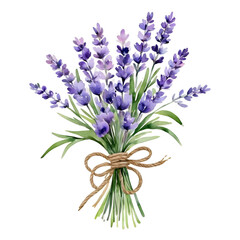 Obraz premium Beautiful flowers, bouquet purple lavender flowers on white background