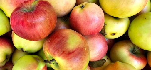 Freshly harvested apples displayed at a local market during autumn season for healthy eating options