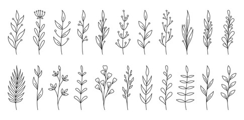 Hand drawn botanical black line art featuring branches, leaves, minimal floral elements. Delicate stems, abstract organic foliage for wedding invitations, packaging, posters, social media graphics