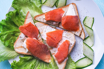 Sandwiches with cottage cheese and slices of salted trout on a white plate with cucumber and herbs