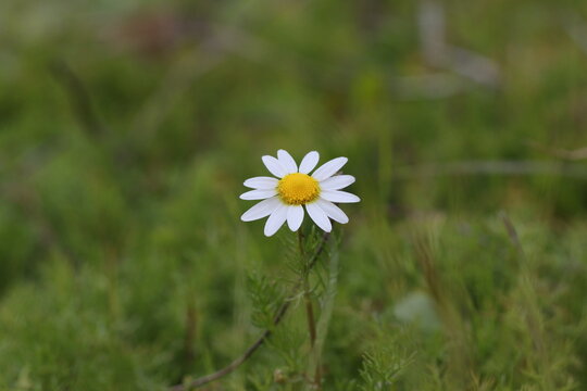 Natureza de inverno em Covilh&atilde; Portugal