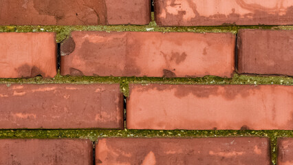 Obraz premium stone wall photos for background.