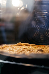 baking making pizza with cheese in an electric oven