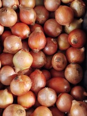 onions on the market