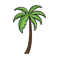 Palm tree vector illustration