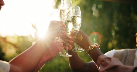 People, hands and glass with champagne for cheers, celebration or festive time together in nature....